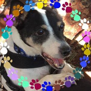 Meet your Posher, Doran